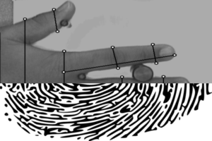 Comparison between fingerprint and hand geometry identification - Part 1
